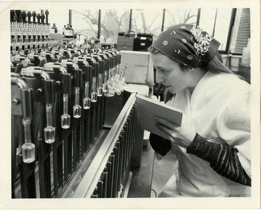 Woman examining test tubes and taking notes on them.