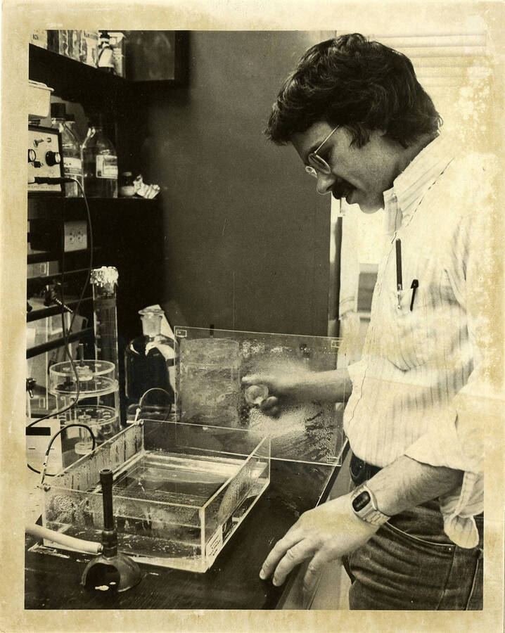 A man conducting an experiment with a tank of water in a laboratory.