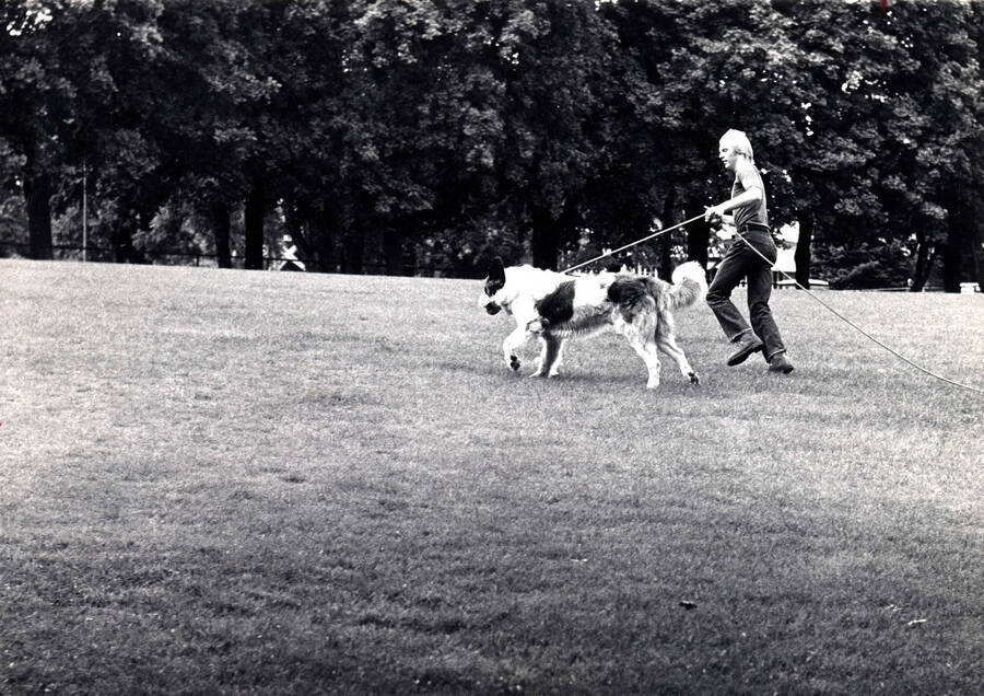 A student walking a dog on the Admin Lawn.