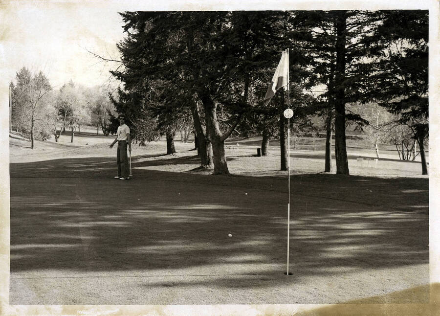U of I Golf Course. Man golfing. Landscape duplicate of 52-448.
