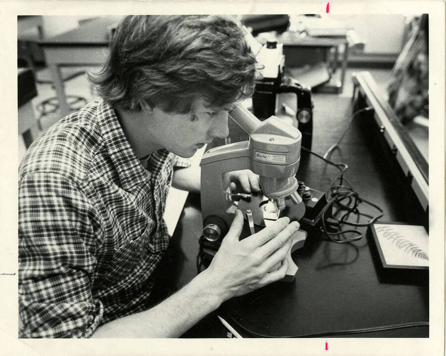 A male biology student looking through a microscope.