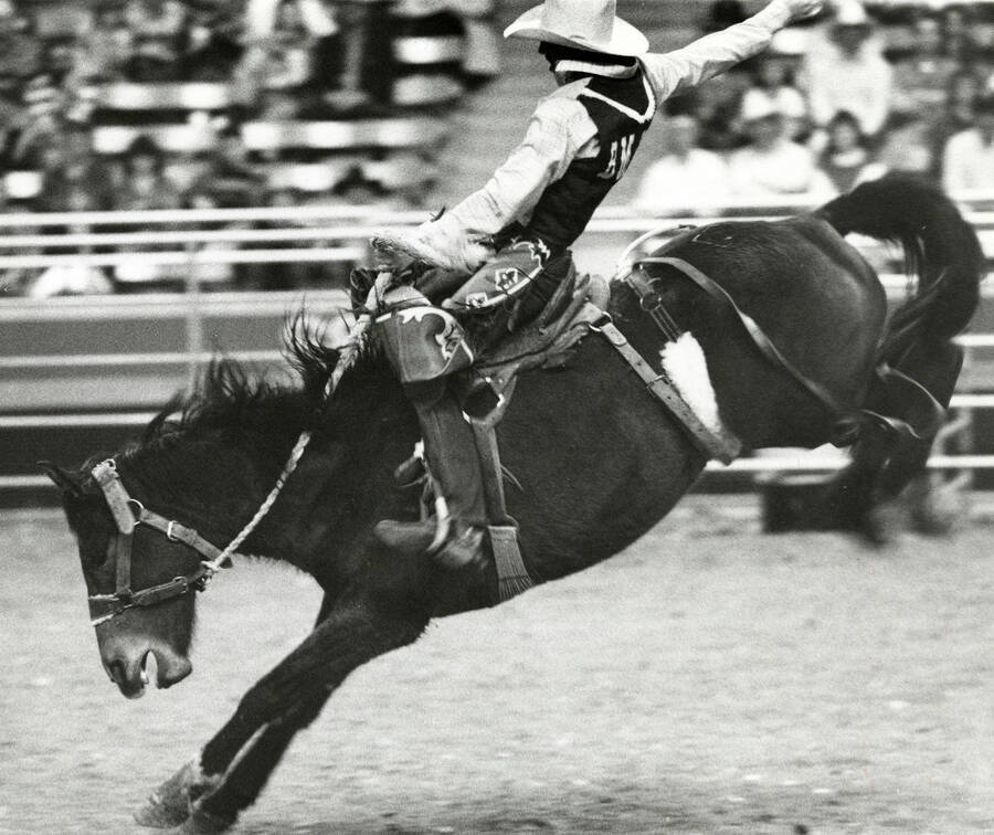 A man riding a horse during a rodeo.