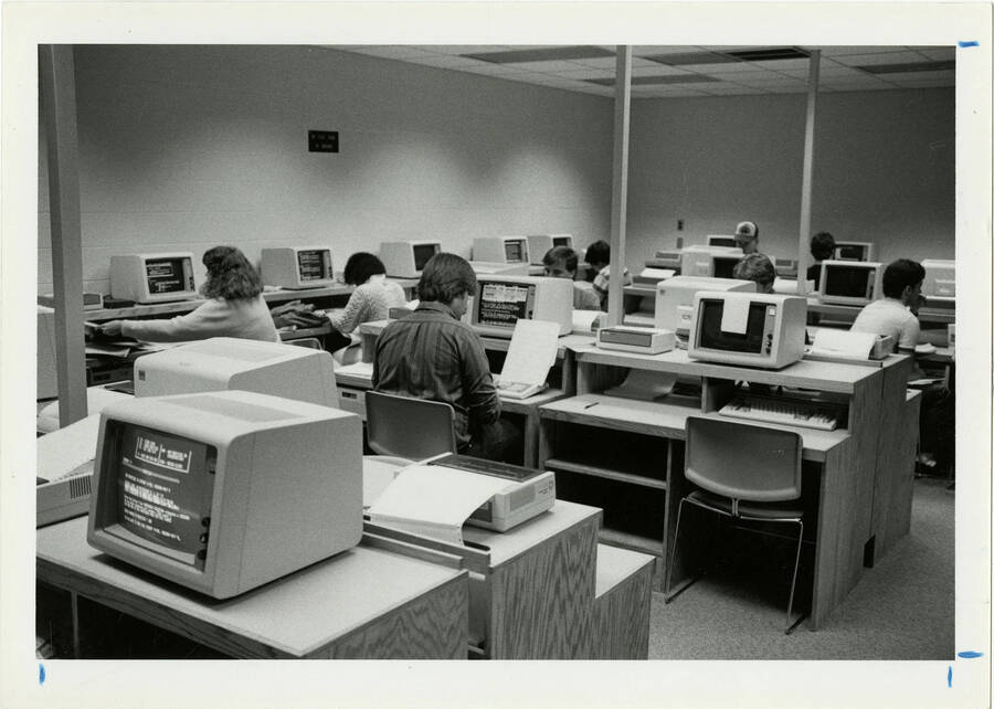 Students sitting at computer stations in a computer lab.