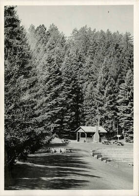 Outdoor recreational area in the Shattuck Arboretum on the University of Idaho campus. Facility includes picnic tables, a building, and a sitting area surrounded by trees.
