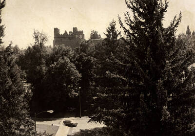 Admin Building peeking over the treetops.