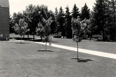 Students on the lawn.