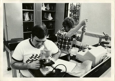 Two biology lab students. One student examines something through a microscope. The other fills up test tubes.