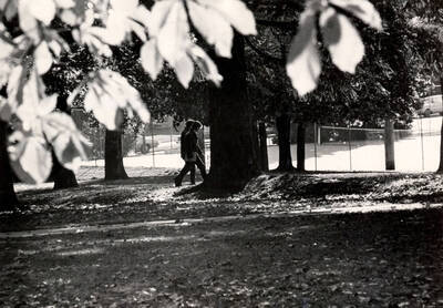 Students walking by the tennis courts east of the Admin Building.