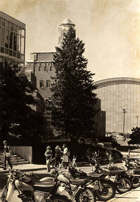 Motorcycles parked on University Avenue between the Commons building and Art and Architecture South.