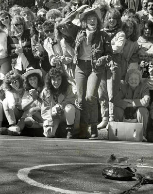 Spectators cheer on turtles during the annual Mom's Weekend Turtle Derby.