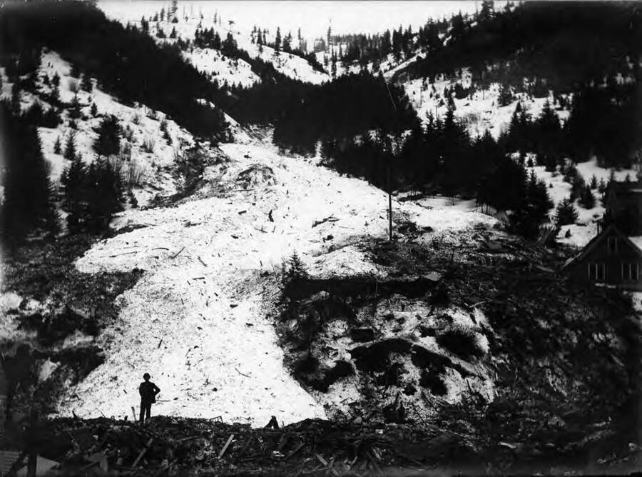 Snow slide. Showing some of the slide and damage it caused.