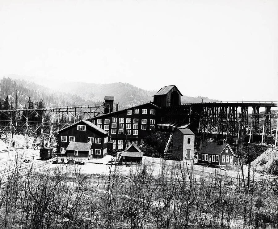 Picture of the mill and railroad cars.