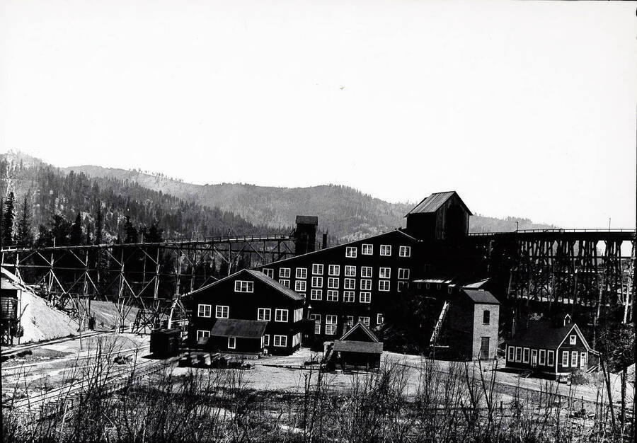 Picture of the mill and railroad cars.