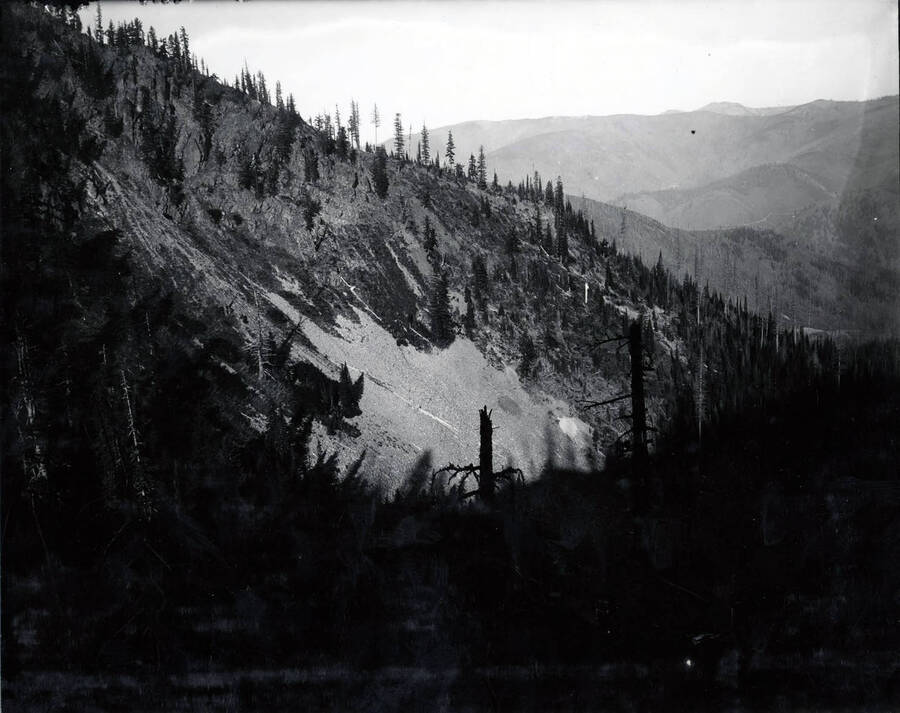 Image shows the side of a mountain in the Stevens Peak region.