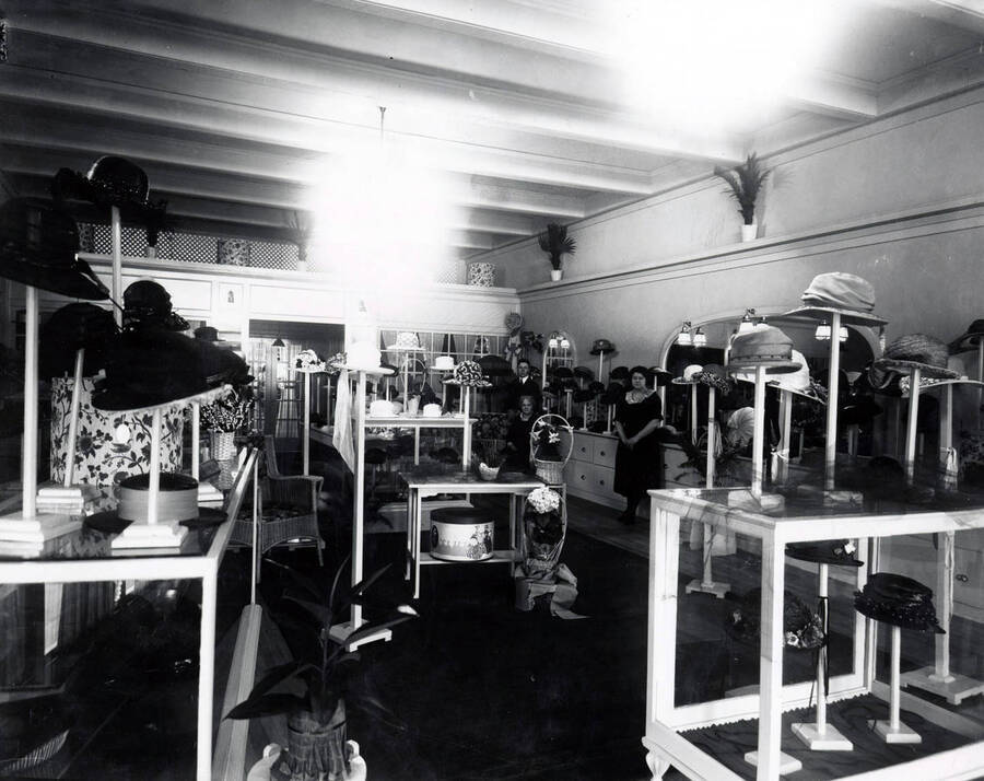 Interior view of The Model Shop.