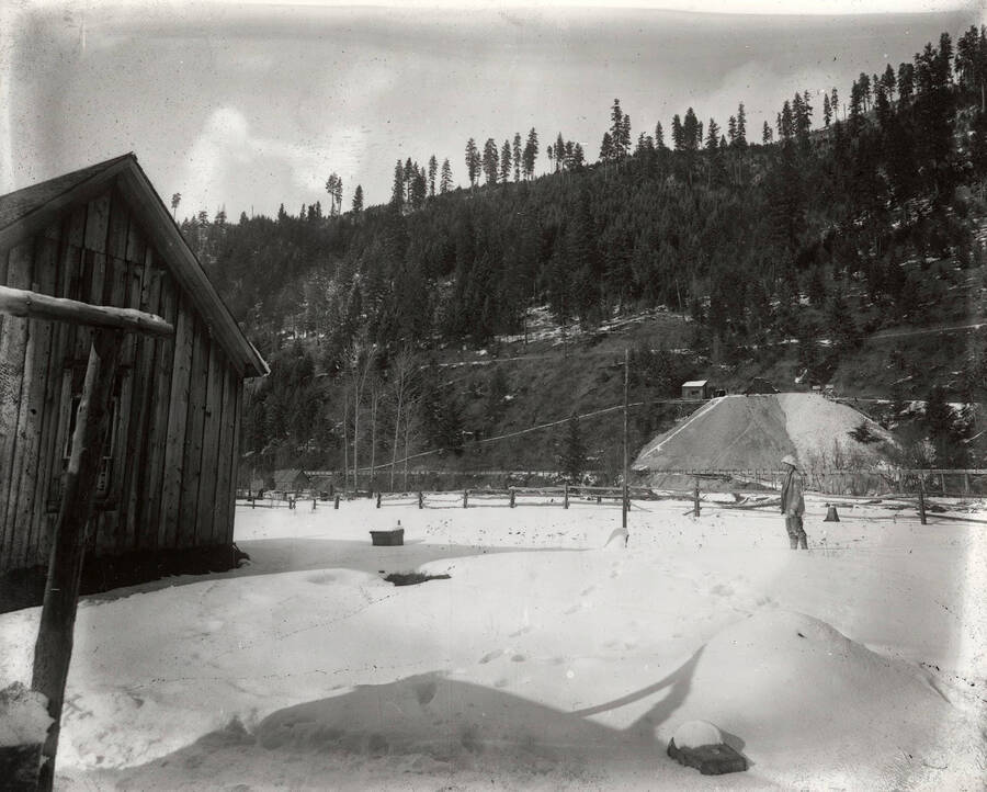 A few buildings, surrounded by trees, and a man standing in the snow on Hector Mine.