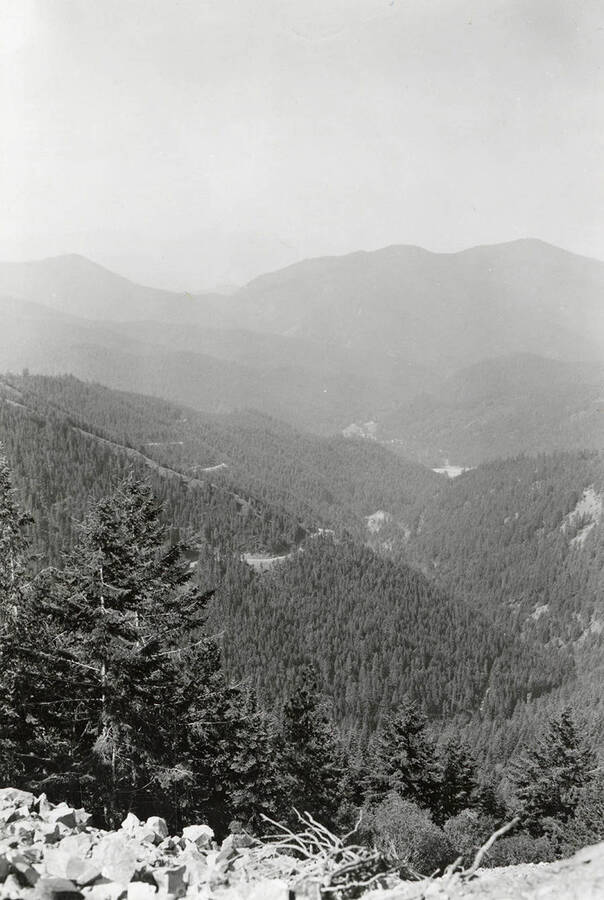 The view of mountains and trees seen from Parrot Lease.