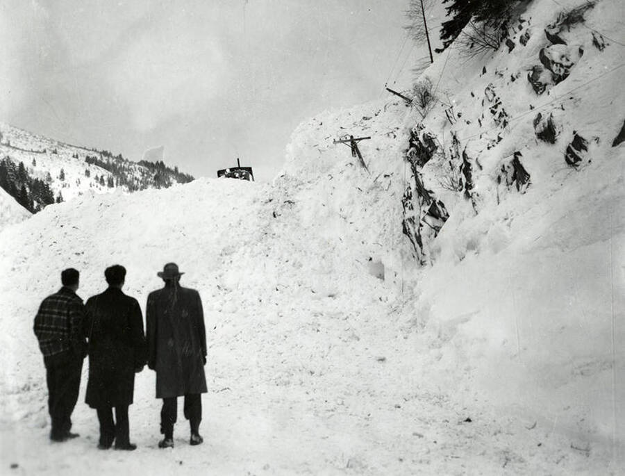 View of the snow slide in Yellow Dog, Idaho. People can be seen standing in the snow.