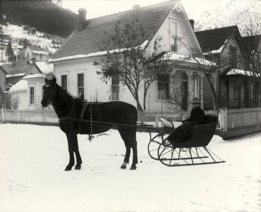 Mr. Stewart, wearing a hat and gloves and under a blanket, in a horse-drawn sleigh.
