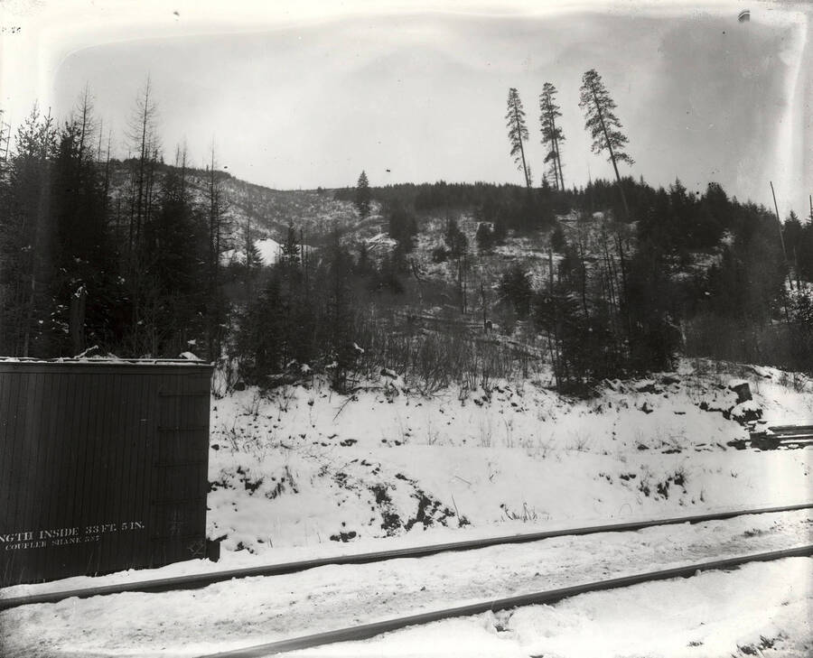 View of the hillside above the railroad tracks on Stewart Mine.