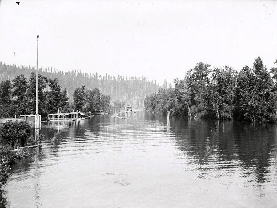 Steamboat "Idaho" on the St. Joe River, with trees along the bank.