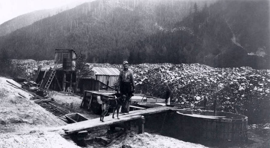 A man and a dog standing on the mining property in Murray, Idaho.