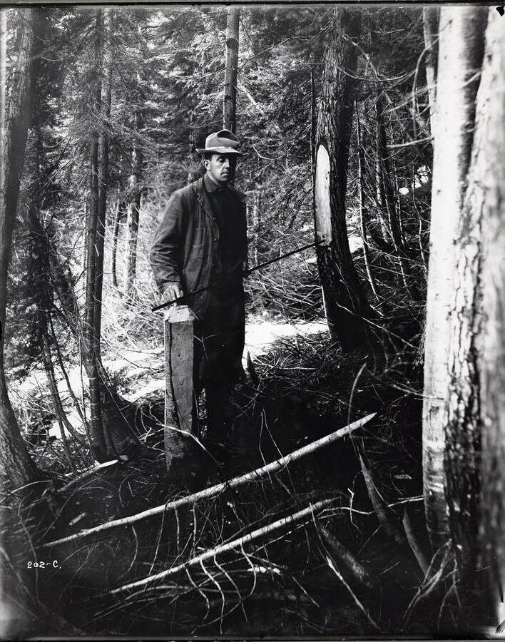 Image shows a Marsh employee holding a stick between two trees on a hillside. Caption on front: "Marsh Mining Co. [1914] Measuring section corner for the claim."