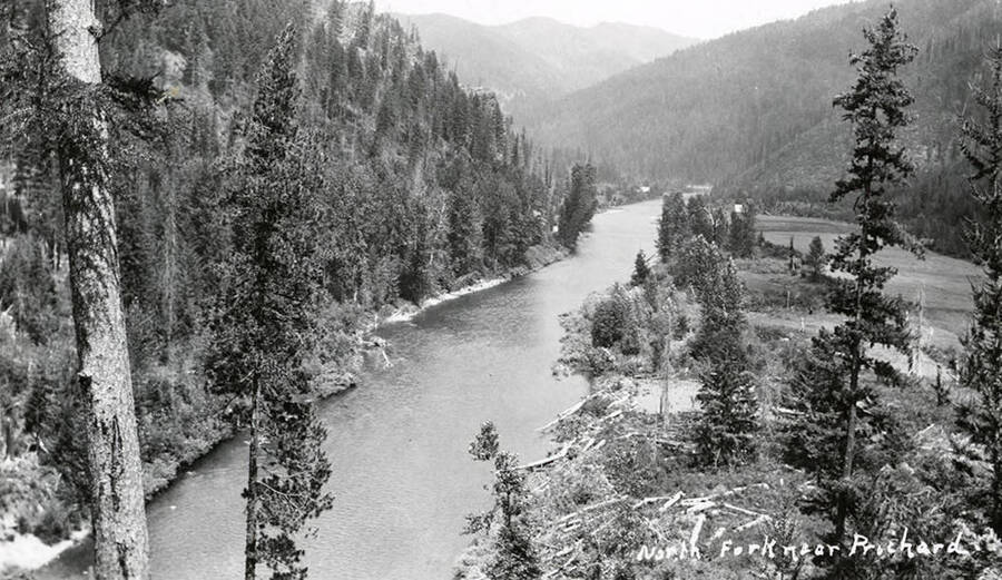 The North Fork of the Coeur d'Alene River near Prichard, Idaho. Trees line the bank of the river.