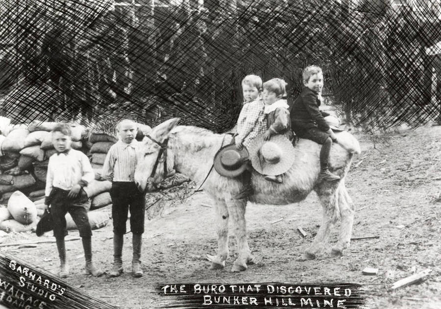 Children sitting on the burro that discovered the Bunker Hill Mine. Boys on burro: Jerome Day, Sam and Frank Poteet.
