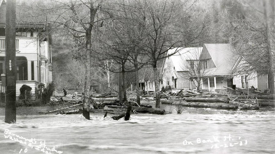 View of Bank Street during the Placer Creek flood in Wallace, Idaho. Houses line the street and there are fallen trees in the street.