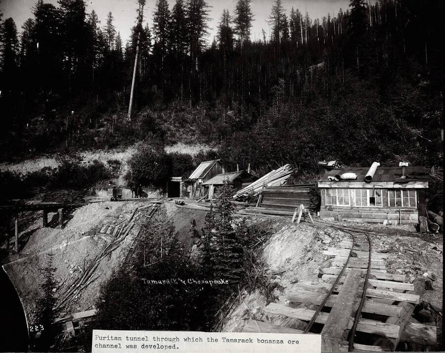 Tamarack and Chesapeake Mine. Image shows the portal and several wooden outbuildings.  Caption on front: "Puritan tunnel through which the Tamarack bonanza ore channel was developed."