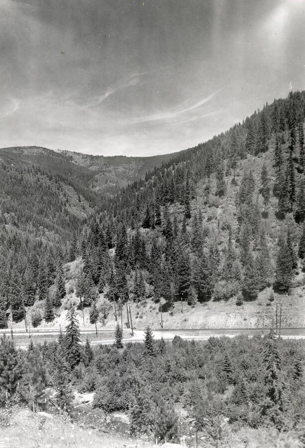 View of Deadmans Gulch looking north, near Vindicator Mine in Mullan, Idaho.