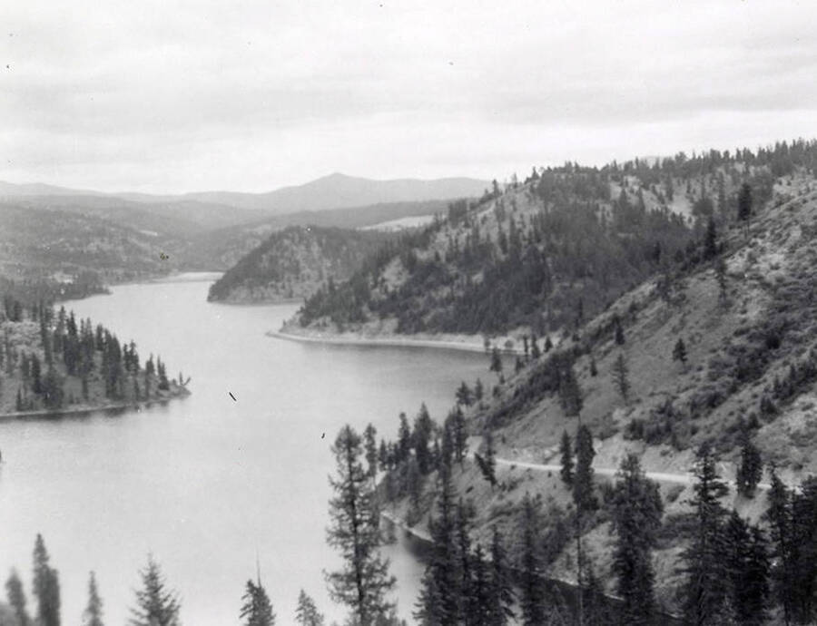 View of Lake Coeur d'Alene. Trees line the bank of the lake.