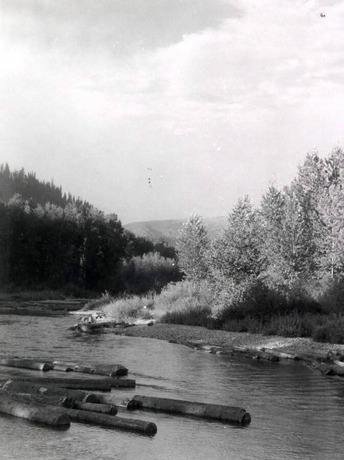 View of the North Fork of the Coeur d'Alene River. Logs can be seen floating in the river.
