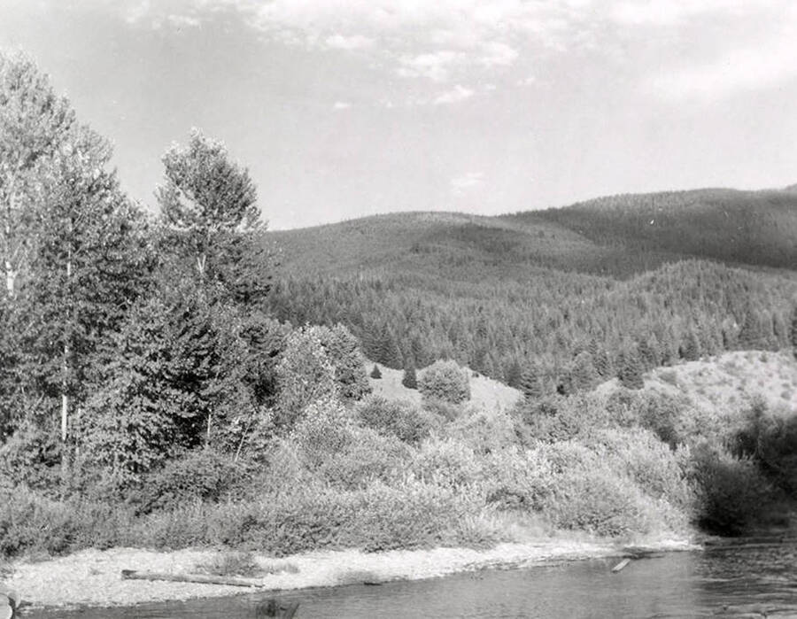 View of the North Fork of the Coeur d'Alene River. Hills can be seen in the distance.