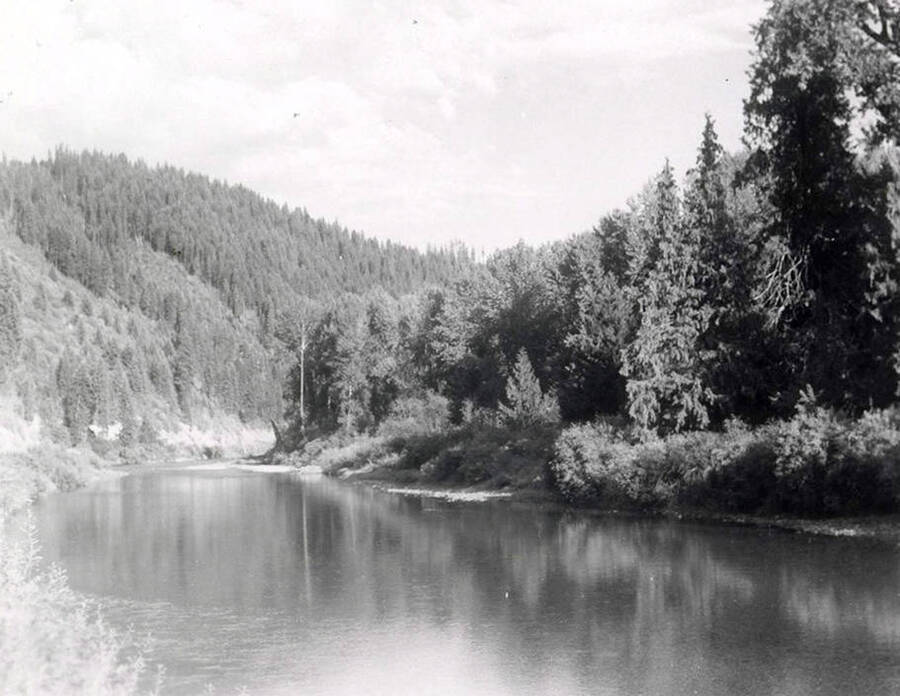 View of the North Fork of the Coeur d'Alene River.