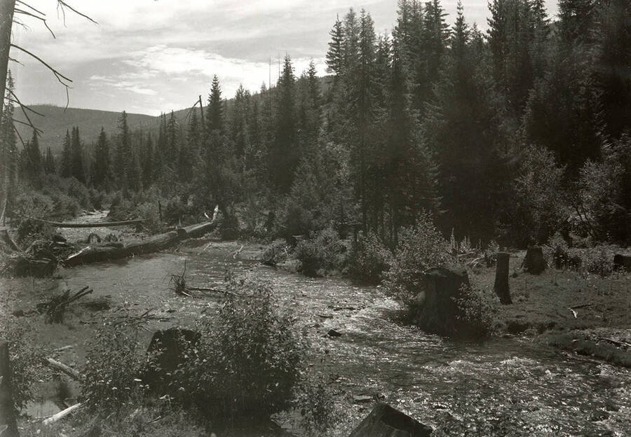 View of the South Fork of the Coeur d'Alene River, located east of Mullan, Idaho. Logs can be seen laying across the river and trees line the bank of the river.