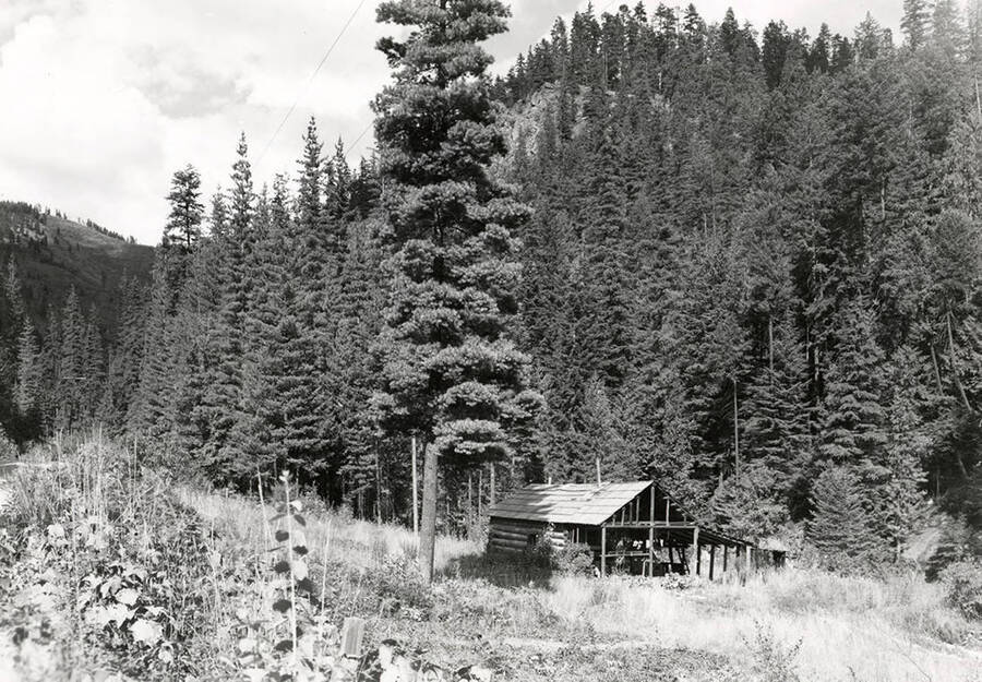 Exterior view of a cabin located near Wallace, Idaho.