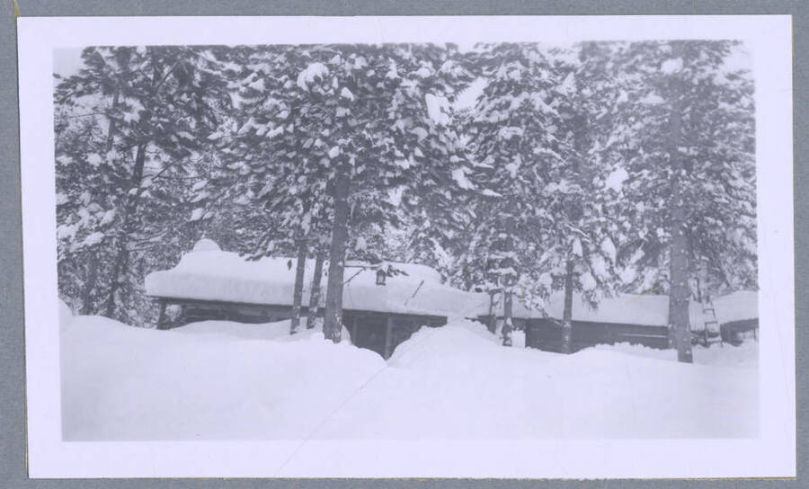 A snow-covered cabin. Photograph taken for T. Lewis