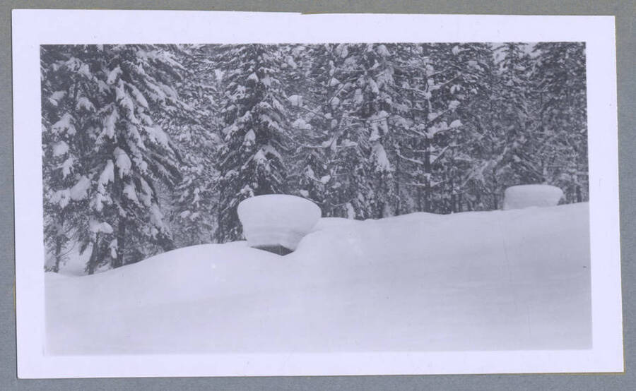 A photograph of a snow covered structure. Photograph taken for T. Lewis