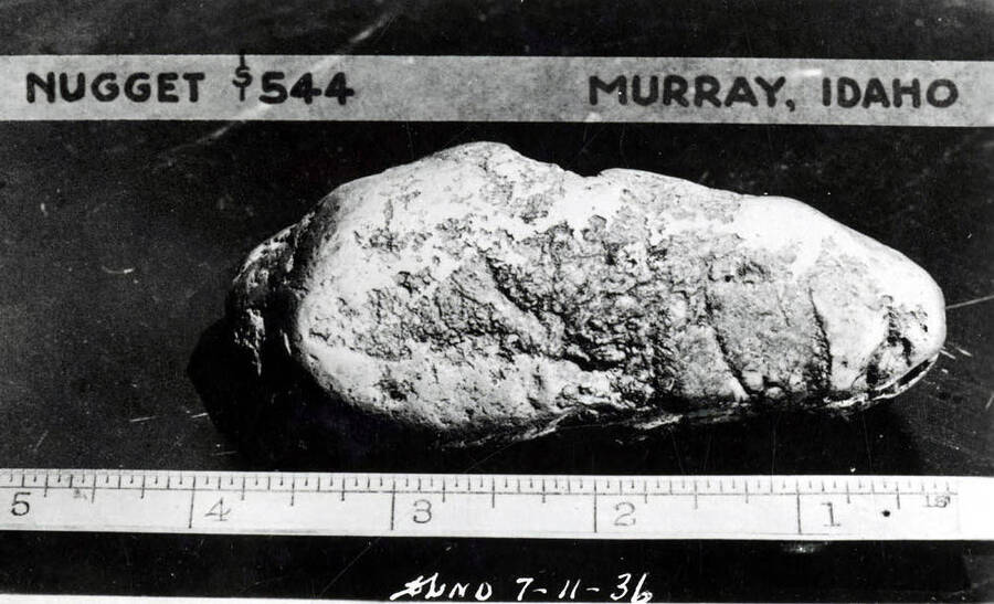 A 4" gold nugget  found near Murray, Idaho, on July 11, 1936.