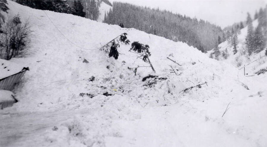 People standing atop the snow slide in historical Yellow Dog, Idaho.