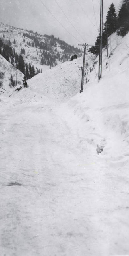 A snow covered road going into historical Yellow Dog, Idaho, after a snow slide.
