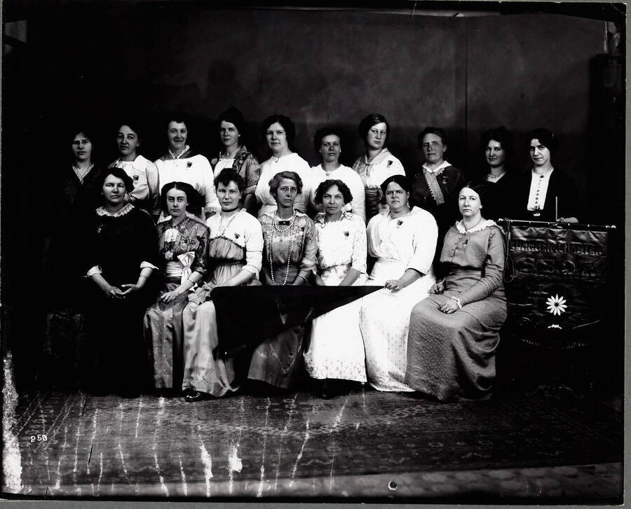 Group photo of members of a Scandinavian women's lodge. The banner next to them reads: "Banner Chapter S.S.O.A."