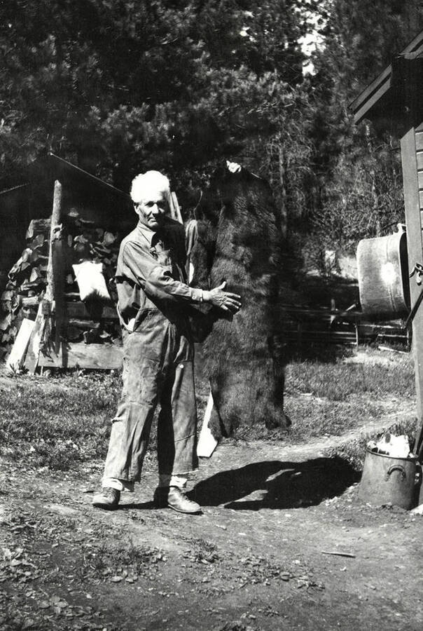A man holding up an animal pelt at Tobs cabin near Wallace, Idaho.