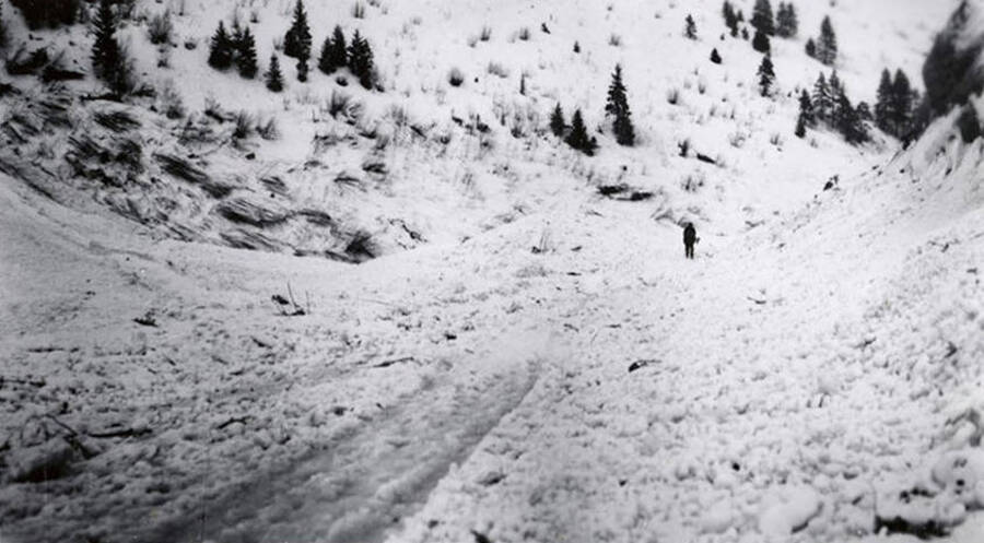 A picture of a man standing on the snow that covered the road going into Mace, Idaho, after a snow slide.