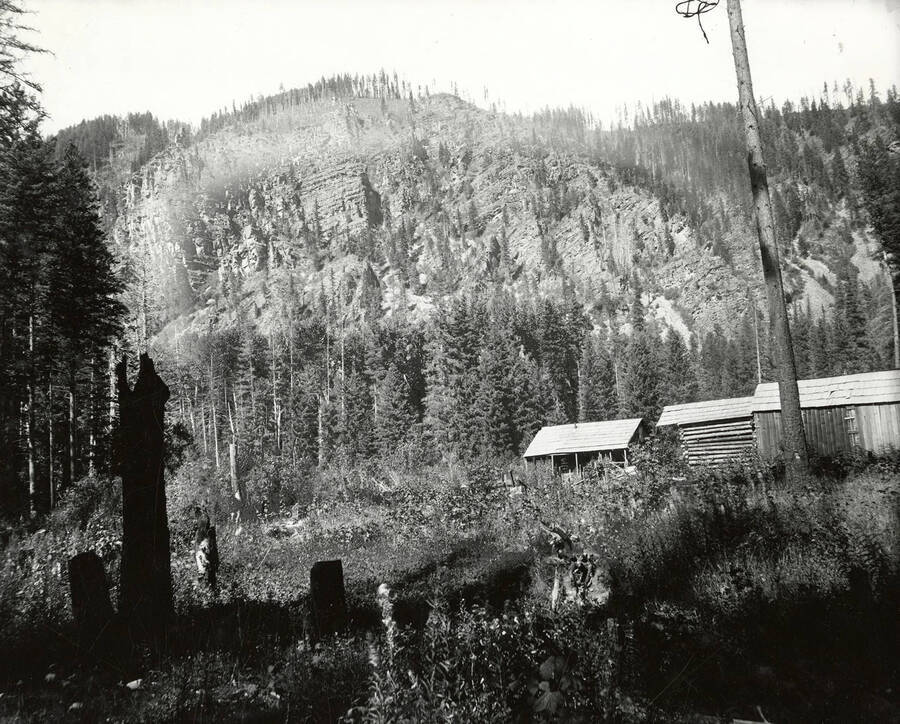 View of George Graham's Placer Creek claims, near North Fork by the Coeur d'Alene Mining District.