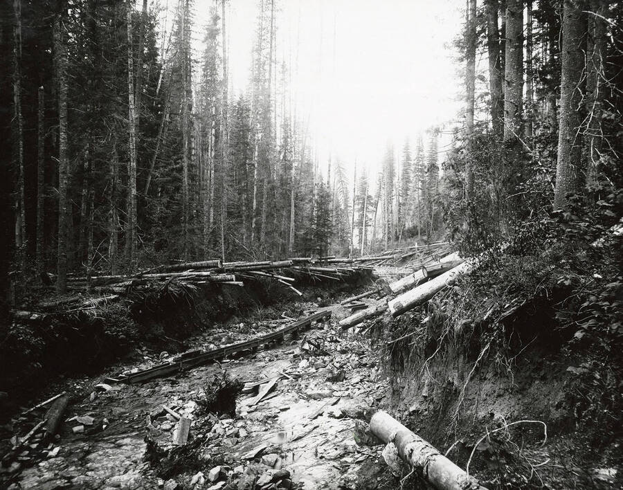 View of the Rattail Gulch, which is located on the north side of the Coeur d'Alene Mining District.