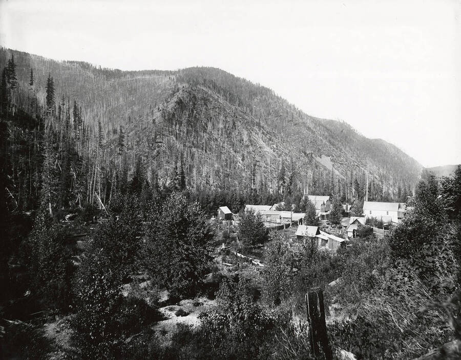 View of the Littlefield placer at the mouth of Butte Gulch, which is located on the north side of the Coeur d'Alene Mining District. Mother Lode Mill is also pictured.