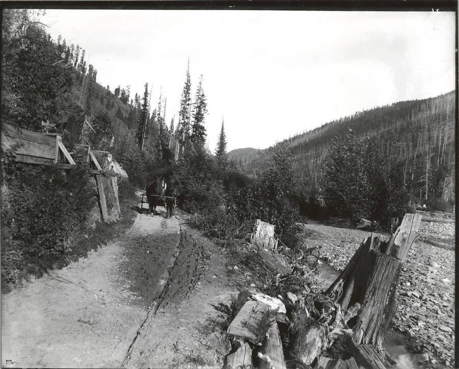 North side, Coeur d'Alene Mining District (Murray area).  Two horses pulling a cart can be seen on the left hand side of the photograph.